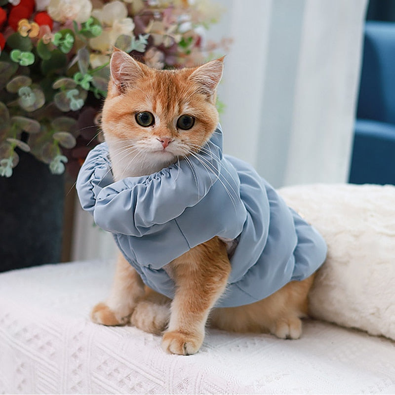 Warme Winterjacke für kleine Hunde und Katzen.