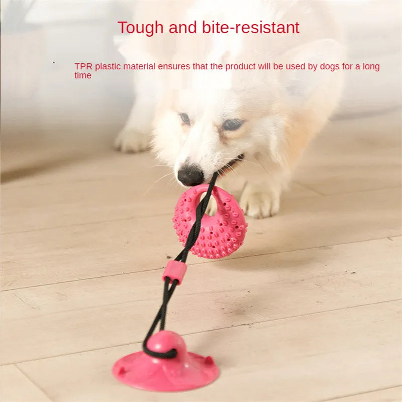 Interaktives Hundespielzeug aus Silikon. Super zum Entlasten des Hundes und der Zahnhygiene.