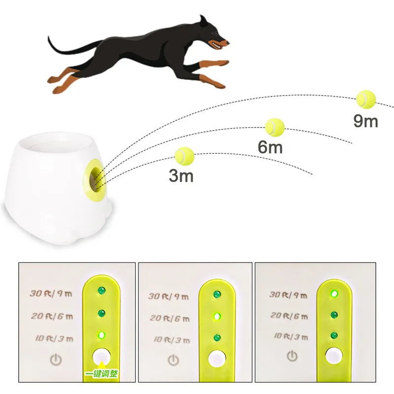 Automatischer Tennisballwerfer für Hunde und Katzen.