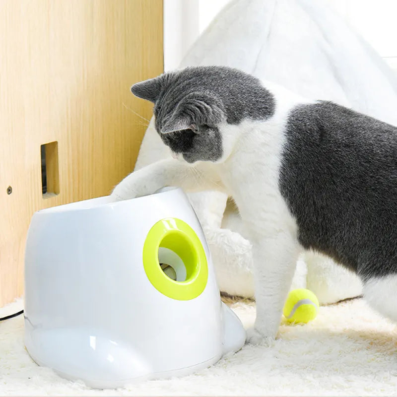 Automatischer Tennisballwerfer für Hunde und Katzen.