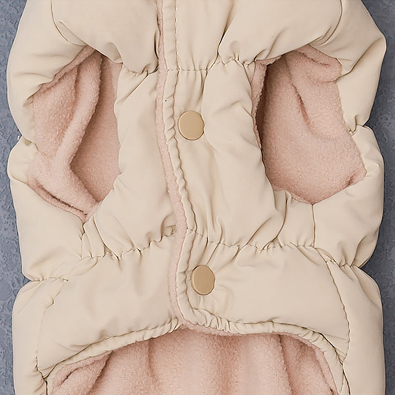 Warme Winterjacke für kleine Hunde und Katzen.