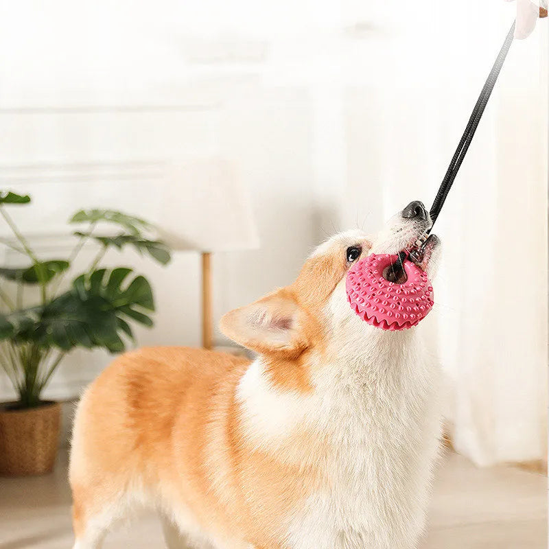 Interaktives Hundespielzeug aus Silikon. Super zum Entlasten des Hundes und der Zahnhygiene.