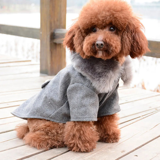 Kuschelige Hundejacke mit flauschigem Fell - Perfekt für kalte Tage und stylische Spaziergänge!