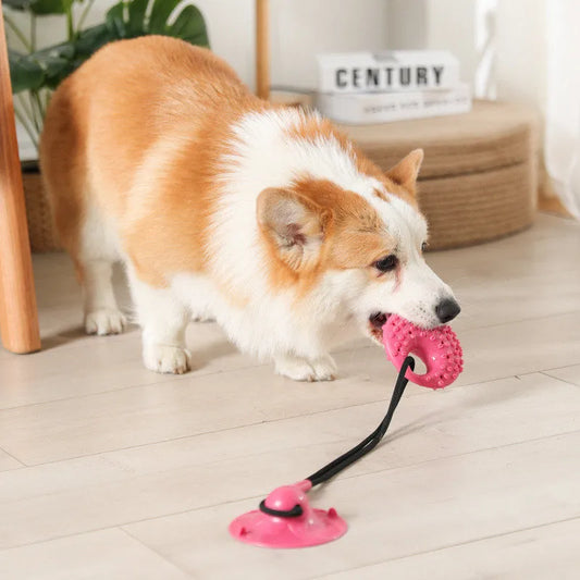 Interaktives Hundespielzeug aus Silikon. Super zum Entlasten des Hundes und der Zahnhygiene.