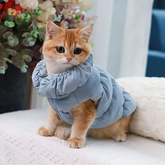 Warme Winterjacke für kleine Hunde und Katzen.