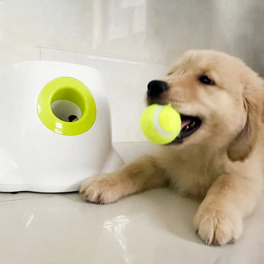 Automatischer Tennisballwerfer für Hunde und Katzen.